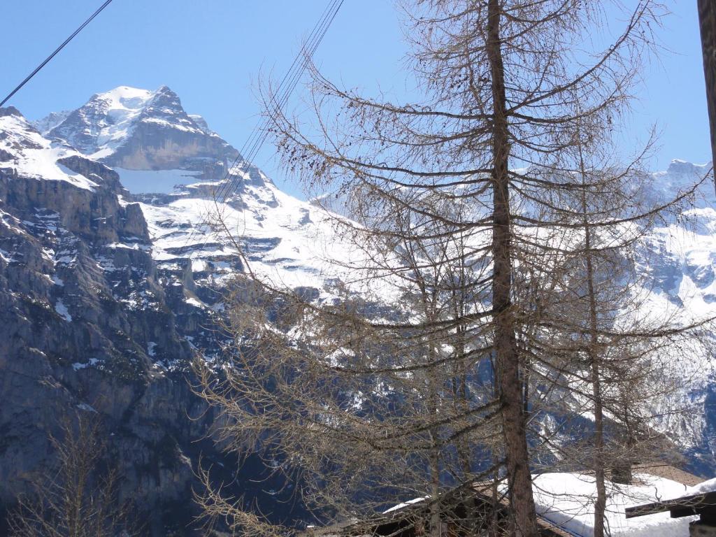 Chalet Schoenbuehl เมอร์เรน ภายนอก รูปภาพ